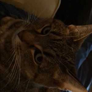 Meet your Posher, Therese